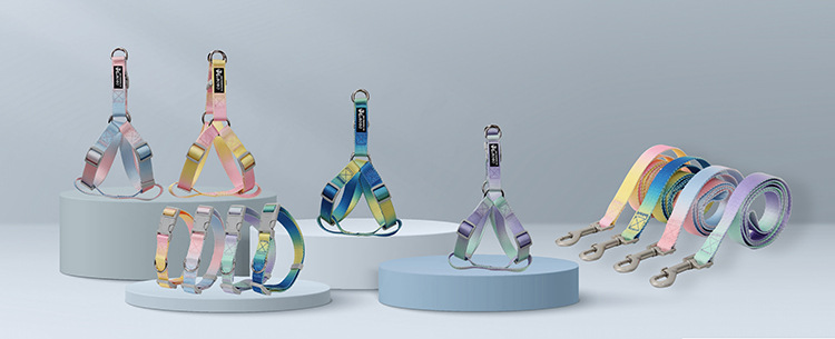 高级渐变宠物套装