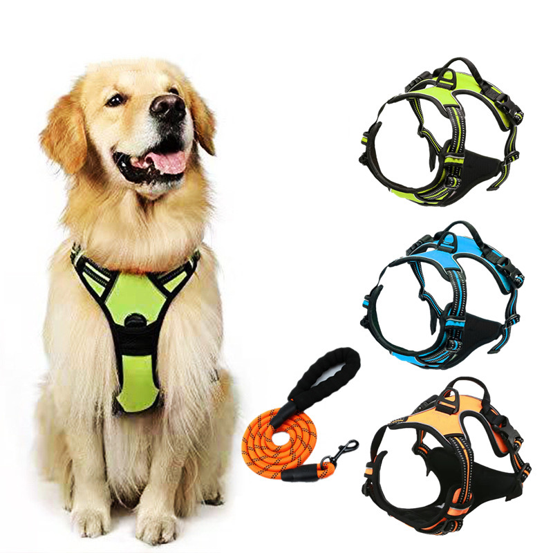 Custom dog harness and leash OEM ODM set